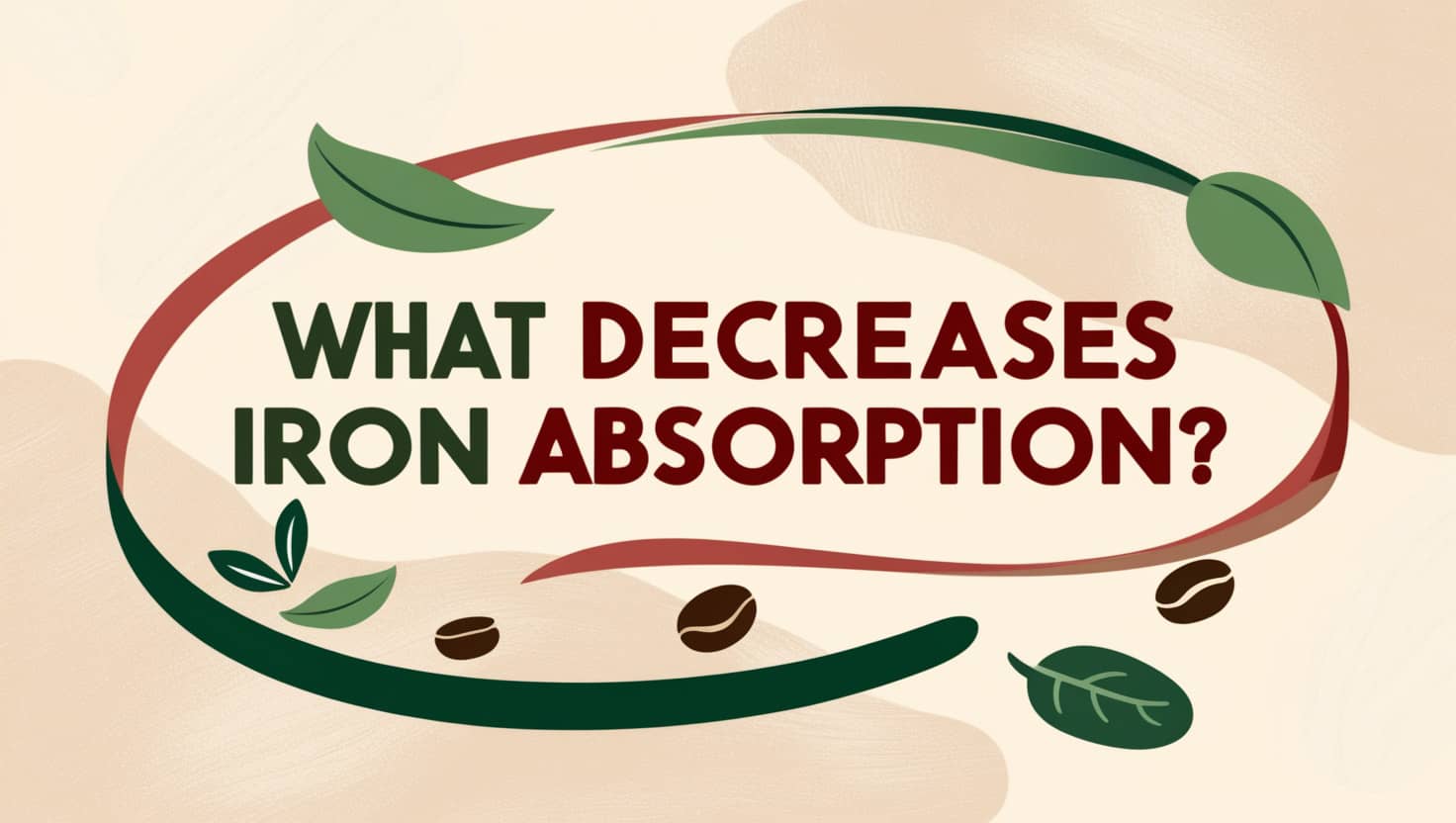 What Decreases Iron Absorption?